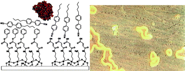 Graphical abstract: LCD-based detection of enzymatic action