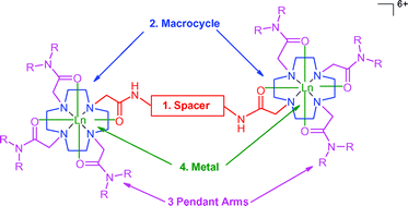 Graphical abstract: Synthesis and characterisation of bis-cyclen based dinuclear lanthanide complexes