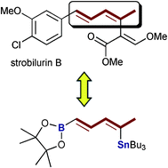 Graphical abstract: Total synthesis of strobilurin B using a hetero-bis-metallated pentadiene linchpin