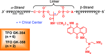 Graphical abstract: Modified α–β chimeric oligoDNA bearing a multi-conjugate of 2,2-bis(hydroxymethyl)propionic acid–anthraquinone–polyamine exhibited improved and stereo-nonspecific triplex-forming ability