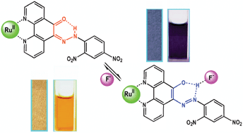 Graphical abstract: Naked-eye detection of fluoride ion in water: a remarkably selective easy-to-prepare test paper