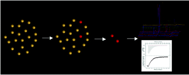 Graphical abstract: Optimized protocols for the isolation of specific protein-binding peptides or peptoids from combinatorial libraries displayed on beads