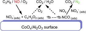 Graphical abstract: Selective catalytic reduction of NO by propane over CoOx/Al2O3: an investigation of the surface reactions using in situ infrared spectroscopy