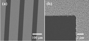 Graphical abstract: Selective growth of IrO2 nanorods using metalorganic chemical vapor deposition