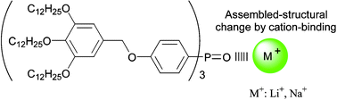 Graphical abstract: A columnar liquid crystal based on triphenylphosphine oxide—its structural changes upon interaction with alkaline metal cations