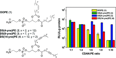 Graphical abstract: A dialkynoyl analogue of DOPE improves gene transfer of lower-charged, cationic lipoplexes