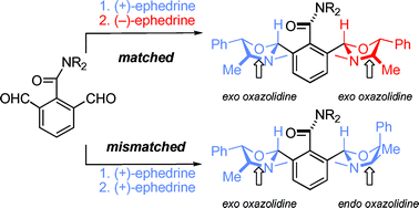 Graphical abstract: Conformational arm-wrestling: battles for stereochemical control in benzamides bearing matched and mismatched chiral 2- and 6-substituents