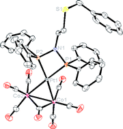 Graphical abstract: Chelating versus bridging bonding modes of N-substituted bis(diphenylphosphanyl)amine ligands in Pt complexes and Co2Pt clusters