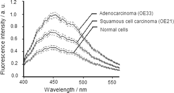 Graphical abstract: Ultraviolet-induced autofluorescence characterization of normal and tumoral esophageal epithelium cells with quantitation of NAD(P)H