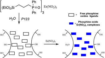 Graphical abstract: Functionalisation of the framework of mesoporous organosilicas by rare-earth complexes