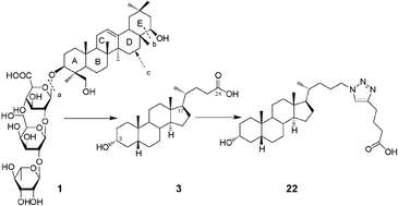 Graphical abstract: Lithocholic acid analogues, new and potent α-2,3-sialyltransferase inhibitors