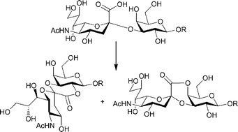 Graphical abstract: Formation of lactones from sialylated MUC1 glycopeptides