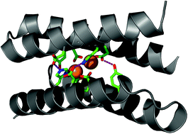 Graphical abstract: Intelligent design: the de novo engineering of proteins with specified functions