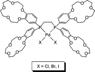 Graphical abstract: Synthesis, luminescence and ion-binding properties of palladium(ii) complexes with 1,2-bis[di(benzo-15-crown-5)phosphino]ethane (dbcpe)