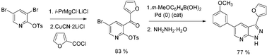 Graphical abstract: Regioselective functionalization of trisubstituted pyridines using a bromine–magnesium exchange