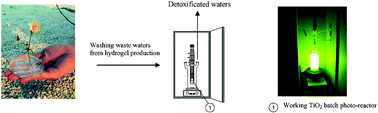 Graphical abstract: Environmentally sustainable production of cellulose-based superabsorbent hydrogels