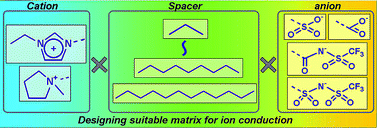 Graphical abstract: Structural factors to improve physico-chemical properties of zwitterions as ion conductive matrices