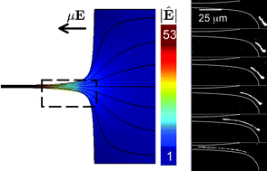 Graphical abstract: Methods to electrophoretically stretch DNA: microcontractions, gels, and hybrid gel-microcontraction devices