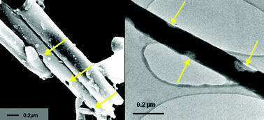 Graphical abstract: Perforated organometallic nanotubes prepared from a Rh N-heterocyclic carbene using a porous alumina membrane