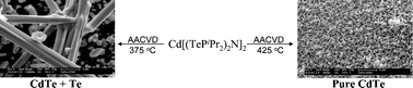 Graphical abstract: Chemical vapour deposition of II–VI semiconductor thin films using M[(TePiPr2)2N]2 (M = Cd, Hg) as single-source precursors