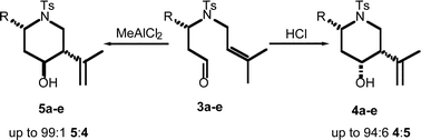 Graphical abstract: Stereoselective synthesis of 2,4,5-trisubstituted piperidines by carbonyl ene and Prins cyclisations