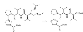 Graphical abstract: The first total synthesis of aeruginosamide