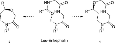 Graphical abstract: Synthesis and biological evaluation of leucine enkephalin turn mimetics