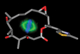 Graphical abstract: Anticancer drugs from nature—natural products as a unique source of new microtubule-stabilizing agents