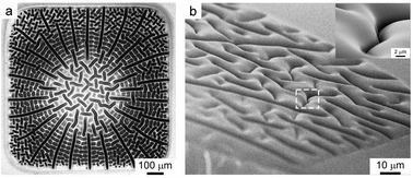 Graphical abstract: Spontaneous formation of stable aligned wrinkling patterns