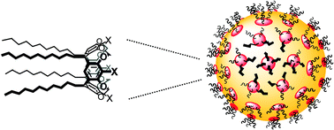 Graphical abstract: Calixarene-encapsulated nanoparticles: self-assembly into functional nanomaterials