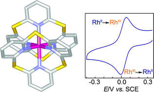 Graphical abstract: Thiacalix[3]pyridine produces a stable mononuclear rhodium(ii) complex with mutual Jahn–Teller effect