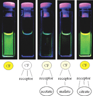 Graphical abstract: A naked-eye sensing ensemble for the selective detection of citrate—but not tartrate or malate—in water based on a tris-cationic receptor