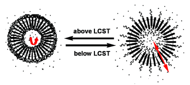 Graphical abstract: Thermosensitive cross-linked polymer vesicles for controlled release system