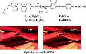 Graphical abstract: Dimesogenic compounds consisting of cholesterol and fluorinated azobenzene moieties: dependence of liquid crystal properties on spacer length and fluorination of the terminal tail