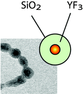 Graphical abstract: One-pot synthesis of YF3@silica core/shell nanoparticles