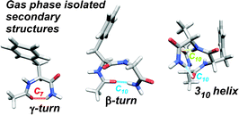 Graphical abstract: Probing the competition between secondary structures and local preferences in gas phase isolated peptide backbones