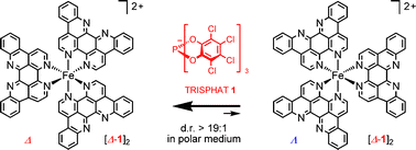 Graphical abstract: Effective chiral recognition among ions in polar media