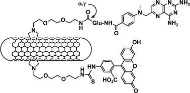 Graphical abstract: Double functionalisation of carbon nanotubes for multimodal drug delivery