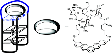 Graphical abstract: Neomycin-capped aromatic platforms: quadruplex DNA recognition and telomerase inhibition