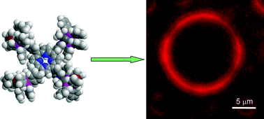 Graphical abstract: Platinum(ii) complexes bearing 1,1′-bis(diphenylphosphino)ferrocene as building blocks for functionalized redox active porphyrins