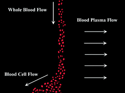 Graphical abstract: A microfluidic device for continuous, real time blood plasma separation