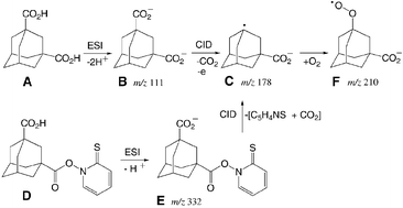 Graphical abstract: Trapping of a tert-adamantyl peroxyl radical in the gas phase