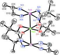 Graphical abstract: Synthesis and characterization of amidate bridged dimeric and oligomeric platinum complexes having short platinum–platinum interactions