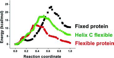 Graphical abstract: Structural and energetic determinants of primary proton transfer in bacteriorhodopsin