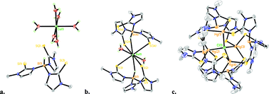 Graphical abstract: Coordinative flexibility in hydrotris(methimazolyl)borate divalent metal compounds