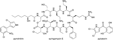 Graphical abstract: Recent developments in enzymatic chlorination