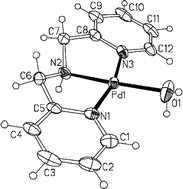 Graphical abstract: Kinetics and mechanism of the reactions of Pd(ii) complexes with azoles and diazines. Crystal structure of [Pd(bpma)(H2O)](ClO4)2·2H2O