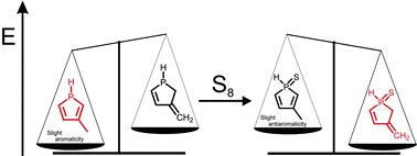 Graphical abstract: An aromatic–antiaromatic switch in P-heteroles. A small change in delocalisation makes a big reactivity difference