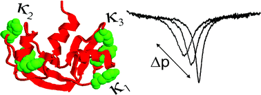 Graphical abstract: Hole burning spectroscopy of ribonuclease A