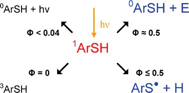 Graphical abstract: Deactivation of the first excited singlet state of thiophenols